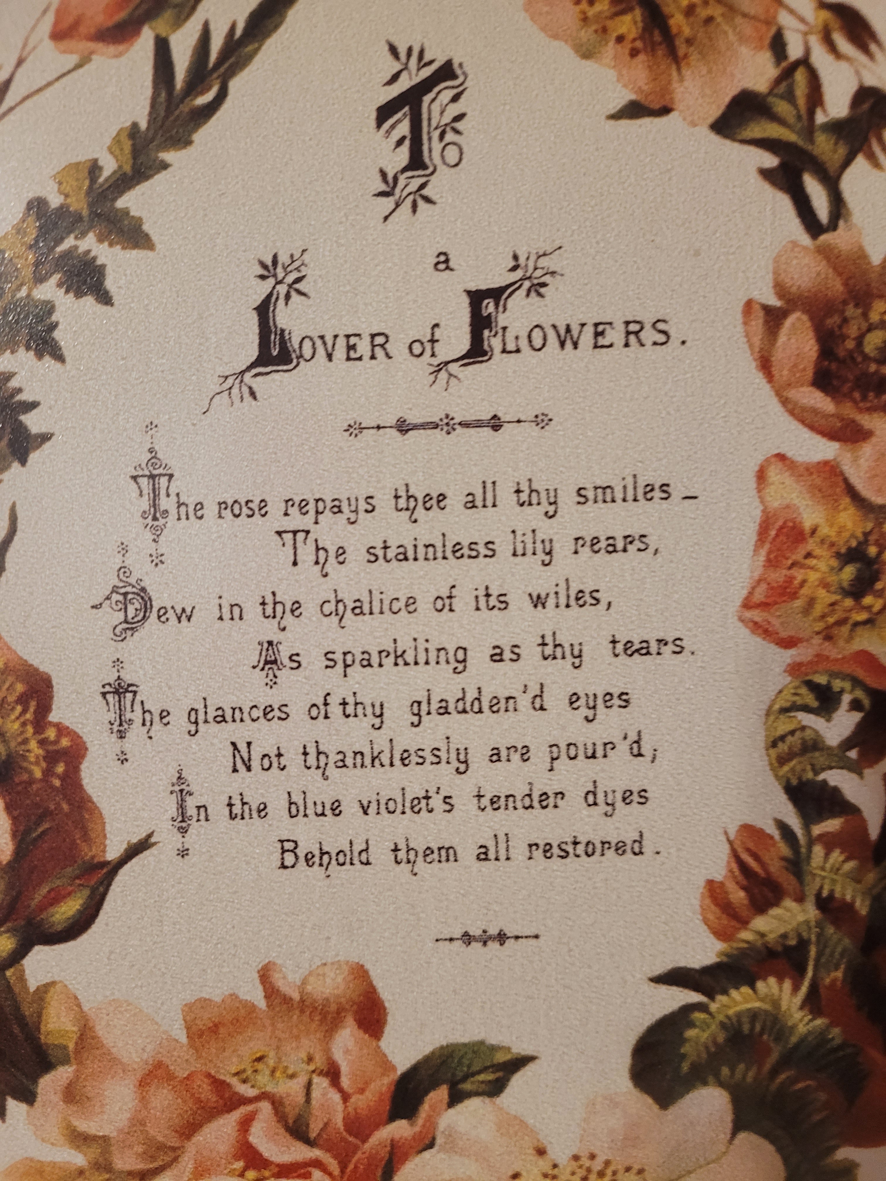 picture lover of flowers