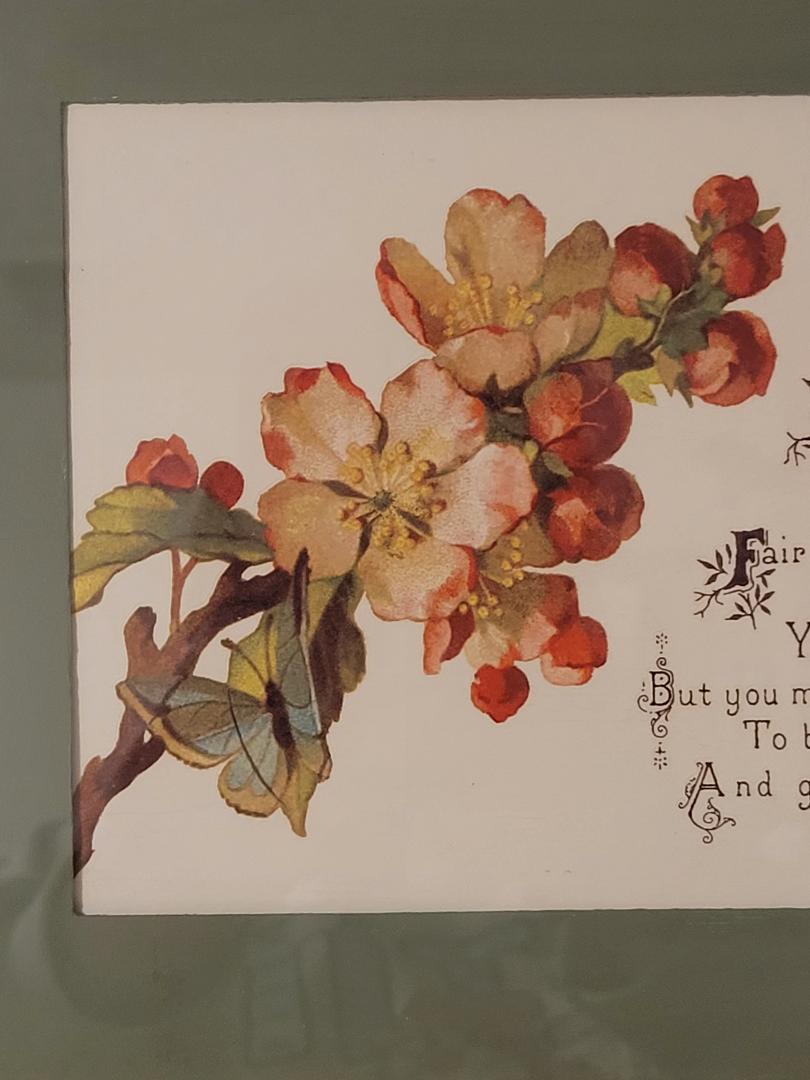 Apple blossom