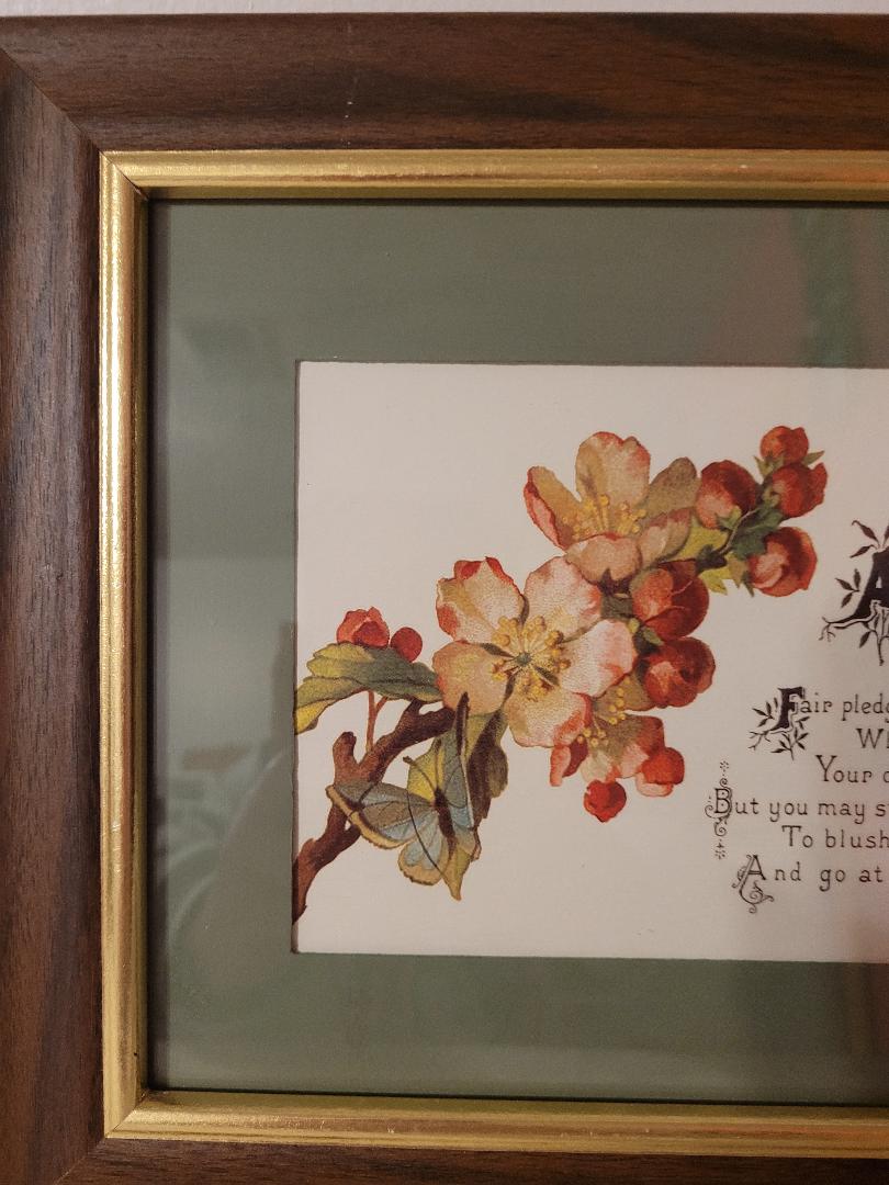 Apple blossom
