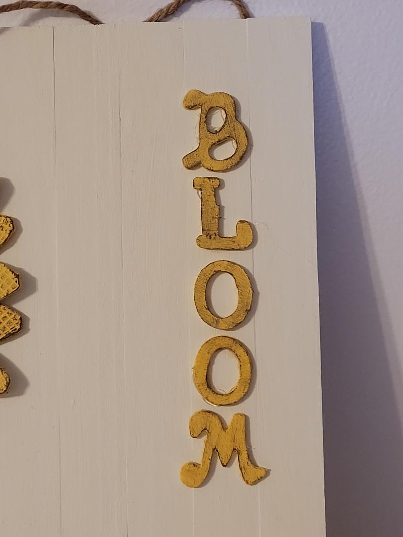 Bloom sunflower