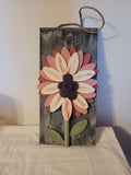 Pink sunflower
