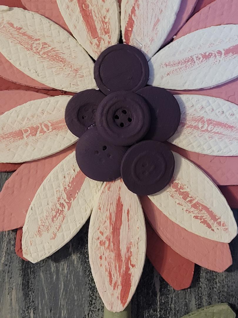 Pink sunflower