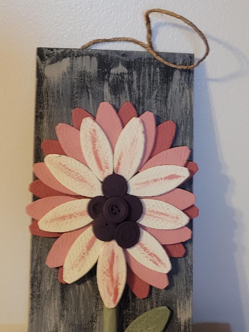 Pink sunflower
