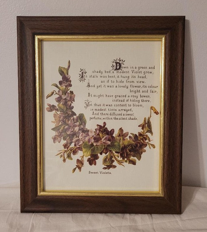 Sweet Violet in Wooden Frame