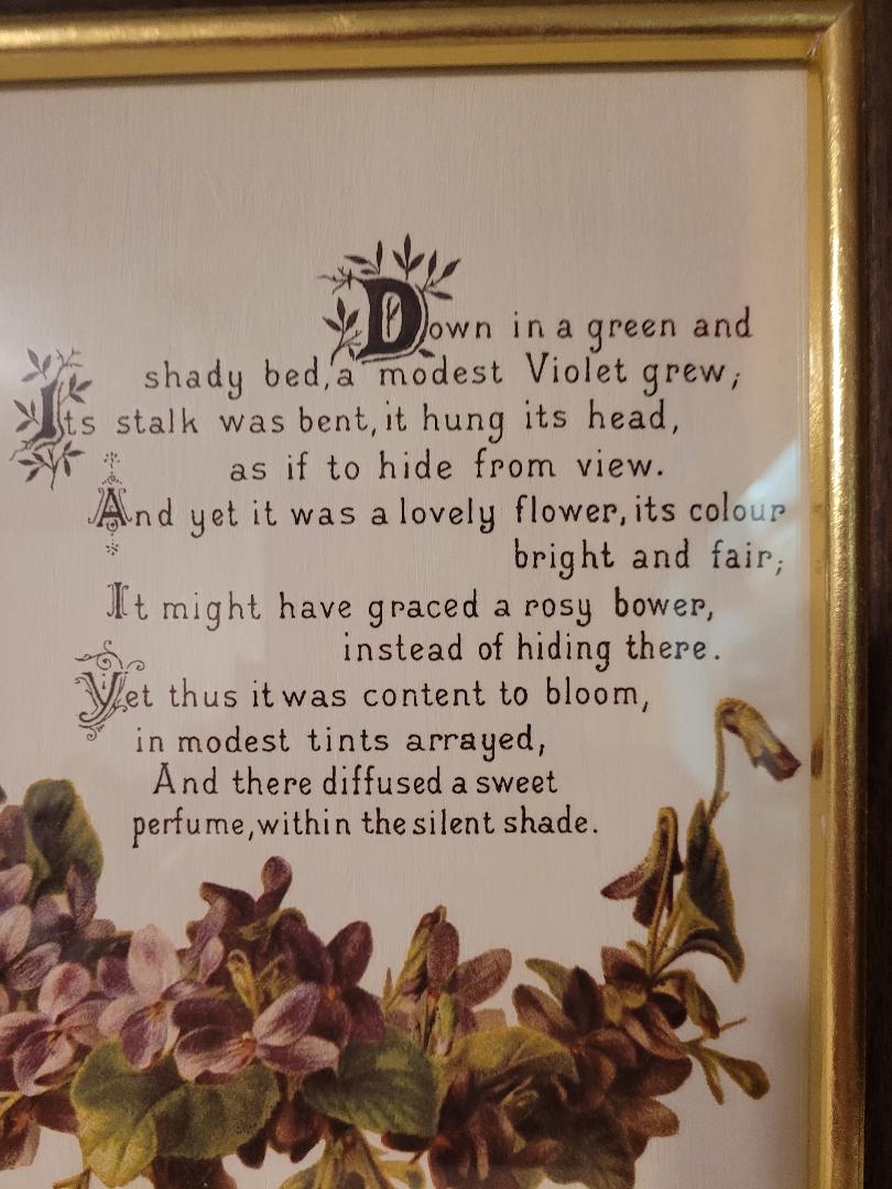 Sweet Violet in Wooden Frame