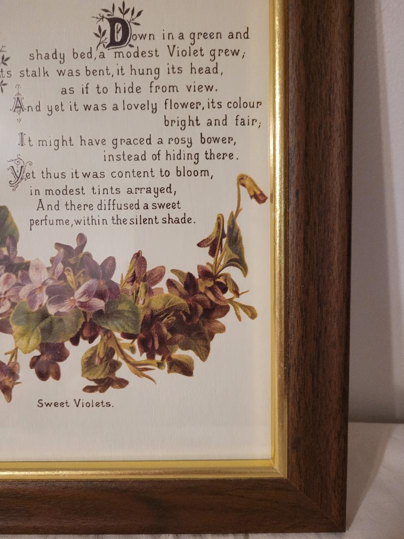 Sweet Violet in Wooden Frame