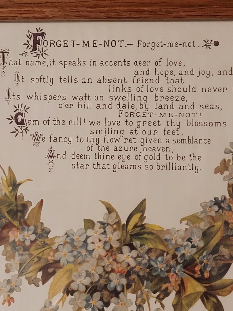 Picture, Forget Me Not