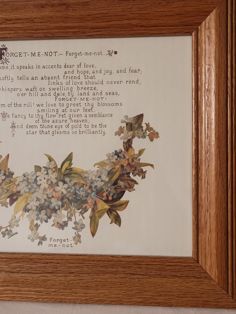 Picture, Forget Me Not