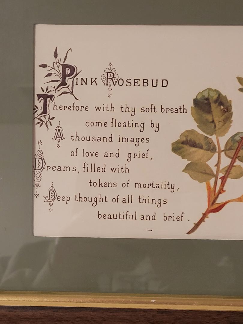Decorative print with text and a pink rosebud illustration on a beige background.