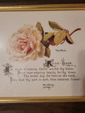 tea rose
